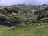 Chambitola area