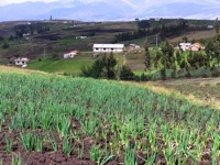 Church in distance